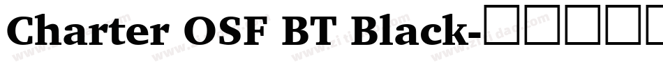 Charter OSF BT Black字体转换